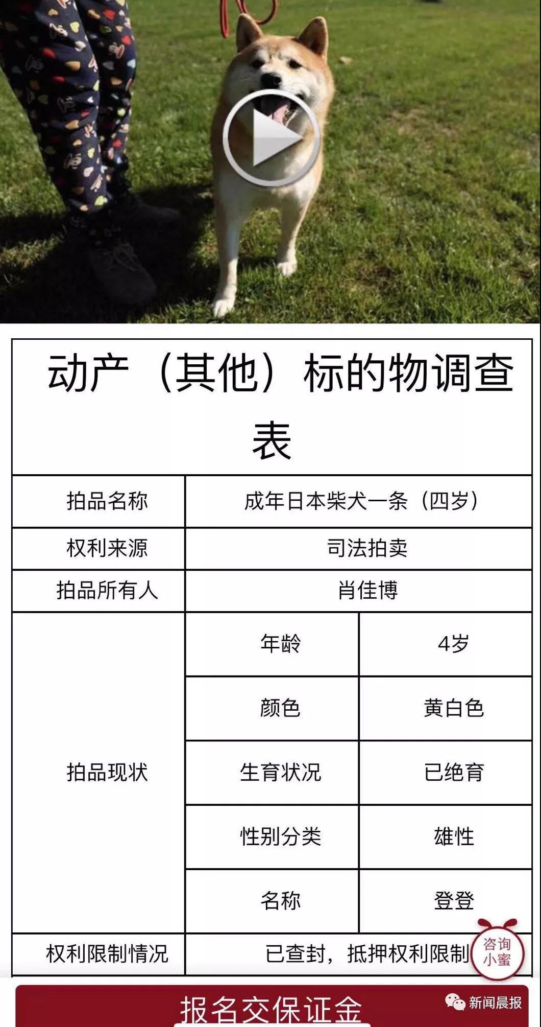 �̹��ȵ�-˾��ʷ�ϵ�һֻ�����Ĺ�