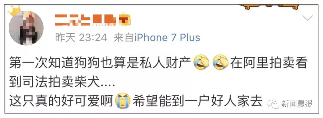 �̹��ȵ�-˾��ʷ�ϵ�һֻ�����Ĺ�