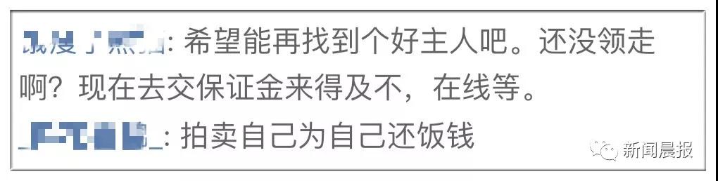 �̹��ȵ�-˾��ʷ�ϵ�һֻ�����Ĺ�