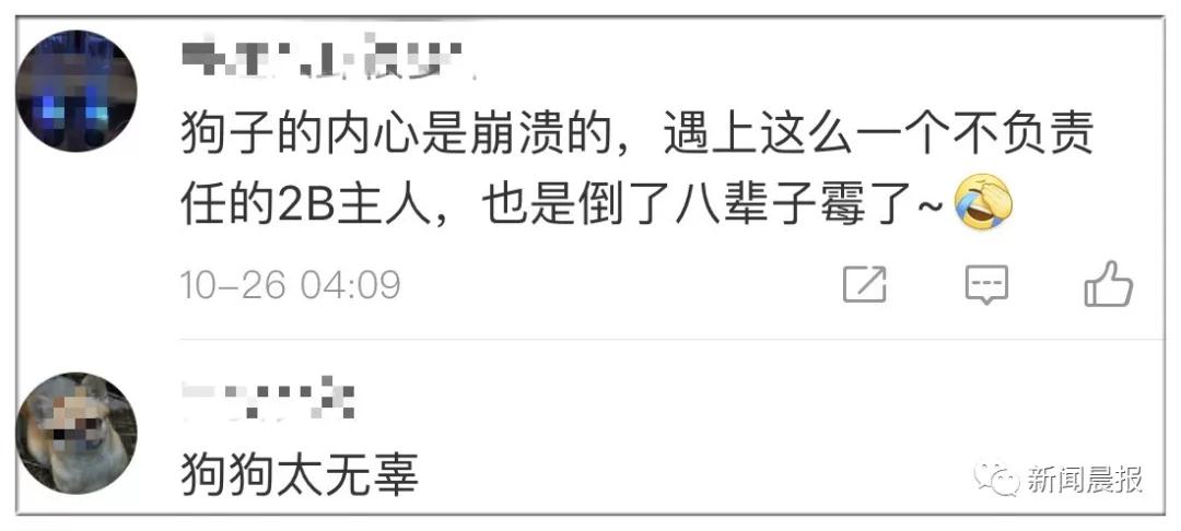 �̹��ȵ�-˾��ʷ�ϵ�һֻ�����Ĺ�