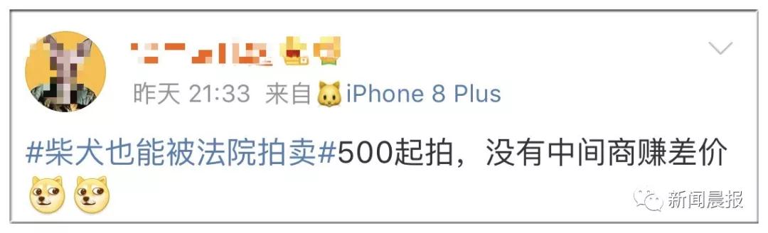 �̹��ȵ�-˾��ʷ�ϵ�һֻ�����Ĺ�