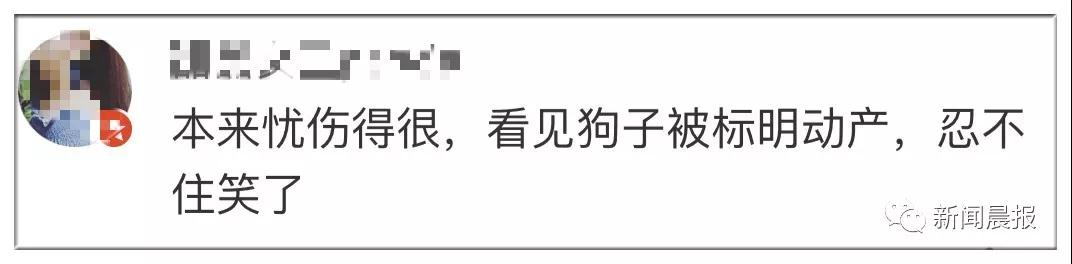 �̹��ȵ�-˾��ʷ�ϵ�һֻ�����Ĺ�