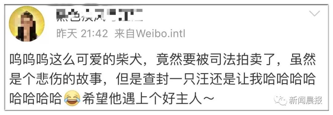 �̹��ȵ�-˾��ʷ�ϵ�һֻ�����Ĺ�