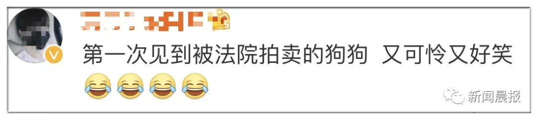 �̹��ȵ�-˾��ʷ�ϵ�һֻ�����Ĺ�