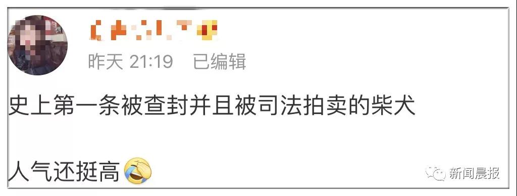 �̹��ȵ�-˾��ʷ�ϵ�һֻ�����Ĺ�