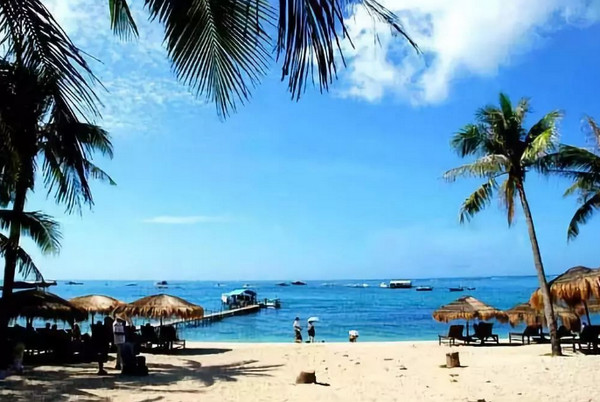 2019����������Σ���Щ����֪ʶ����Ҫ