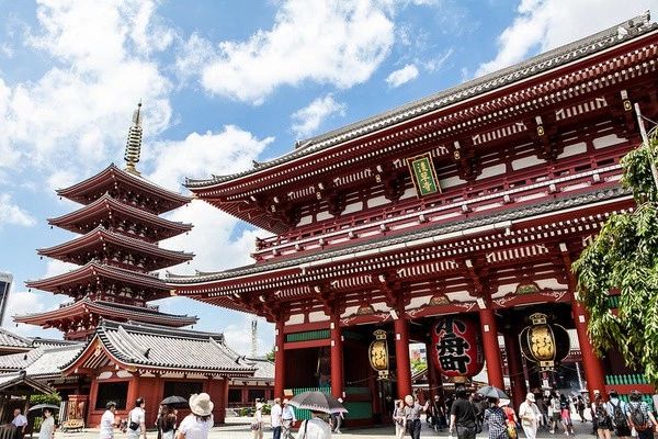 2019����������Σ���Щ����֪ʶ����Ҫ